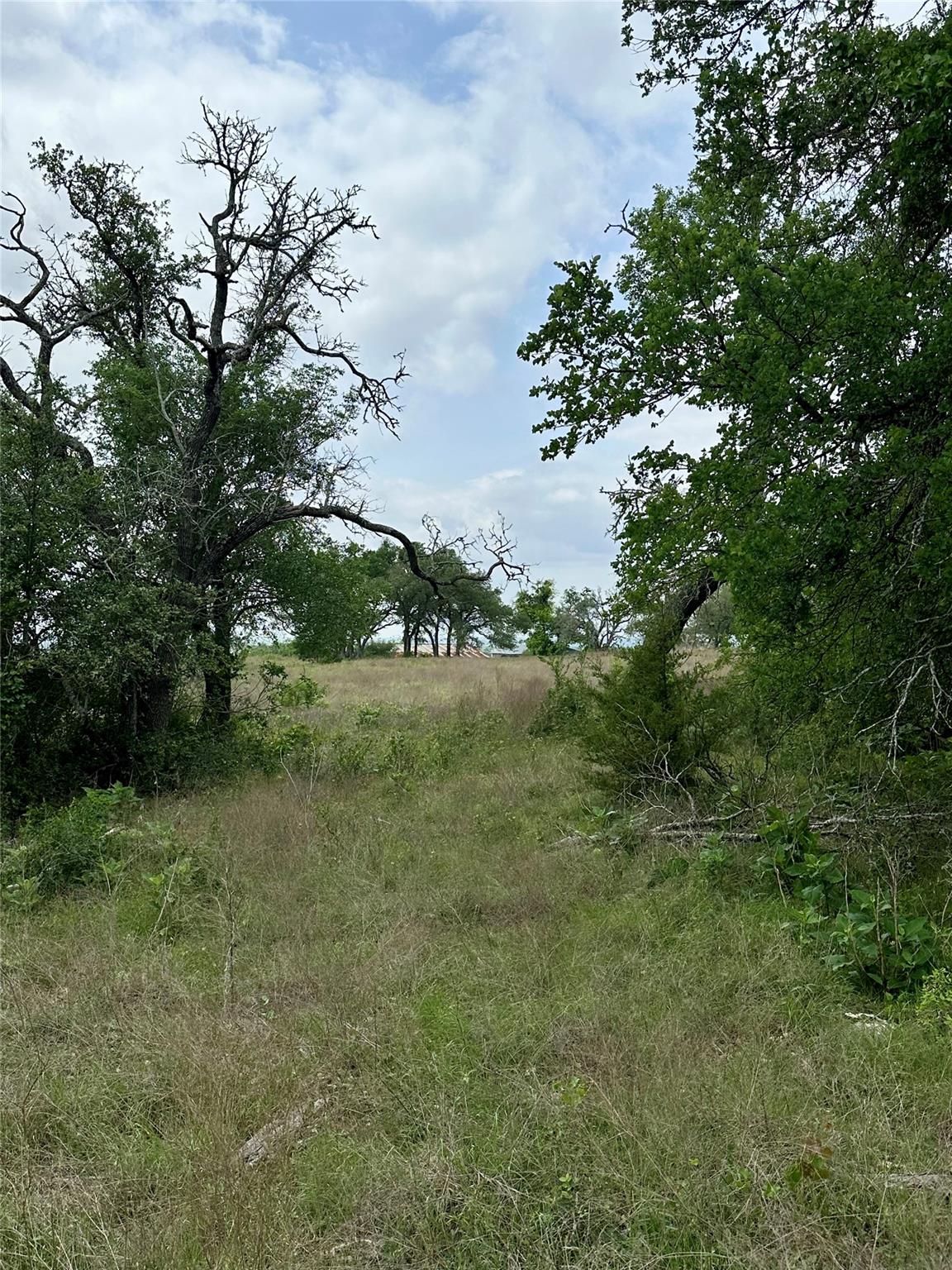 000 County Road 153 - Lot 16b Georgetown TX 78626