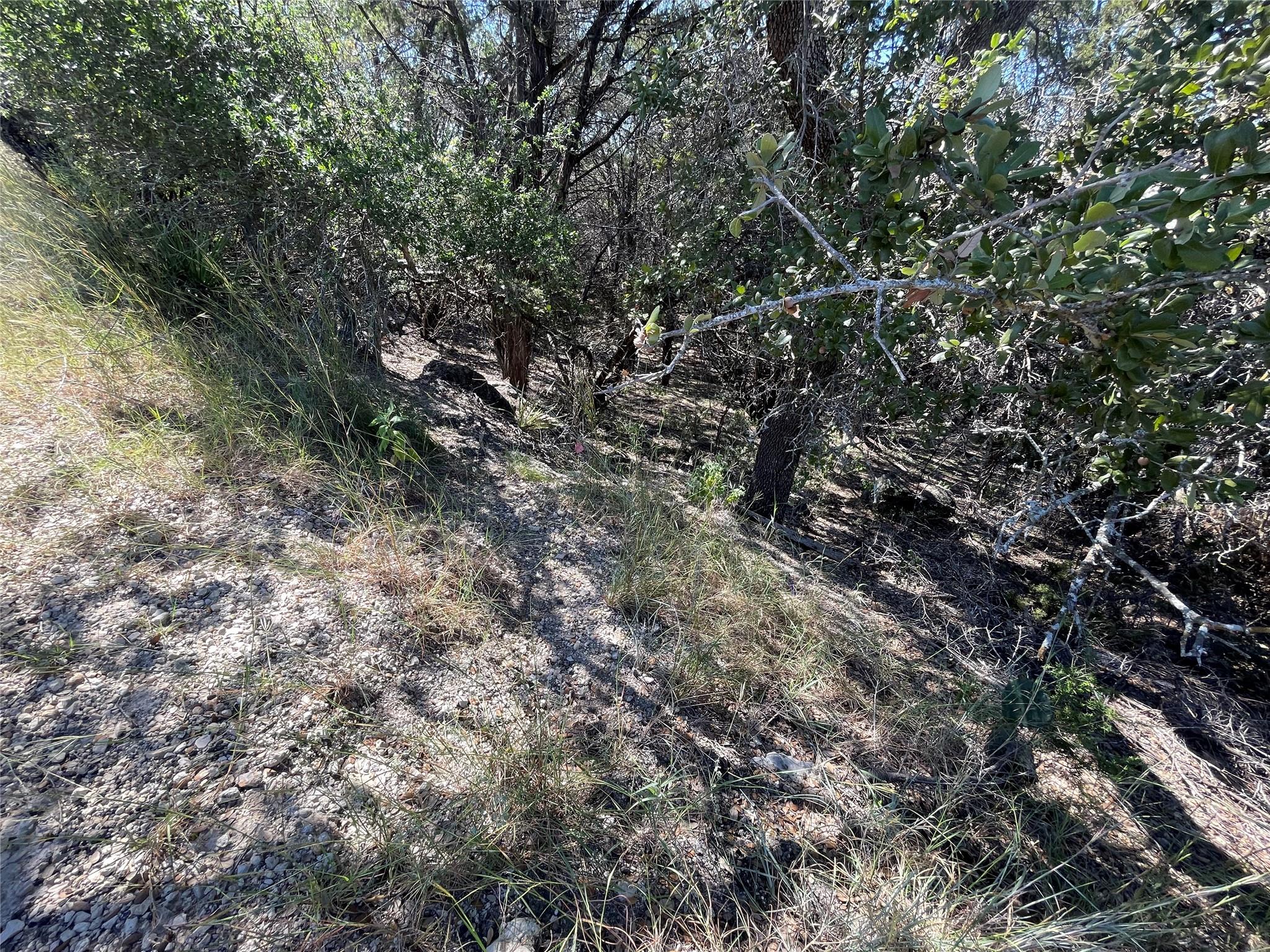 21619 High Drive Lago Vista TX 78645