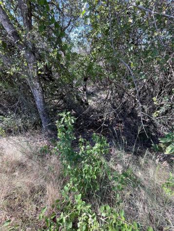 21619 High Drive Lago Vista TX 78645