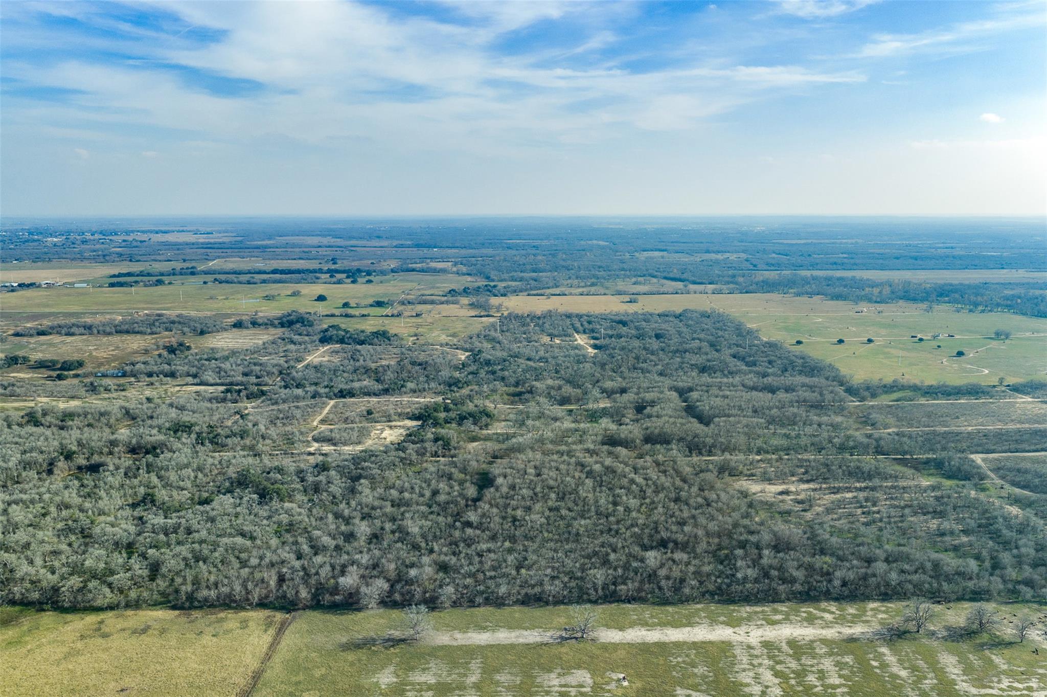 1144 Treetop Lane Luling TX 78648