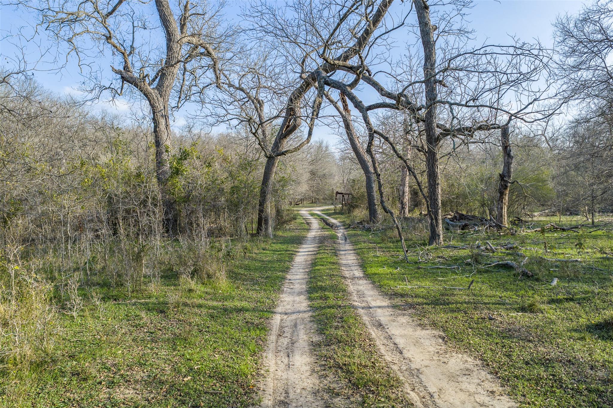 1144 Treetop Lane Luling TX 78648