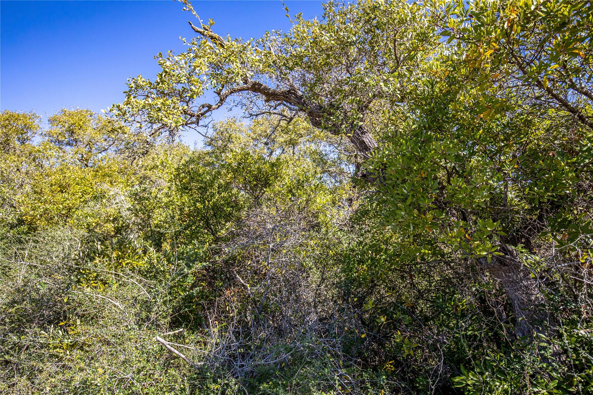 Blk A Trail 13 Rhodes Avenue Aransas Pass TX 78368