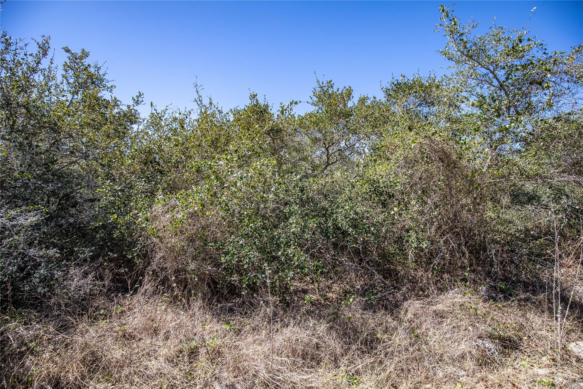 Blk A Trail 13 Rhodes Avenue Aransas Pass TX 78368