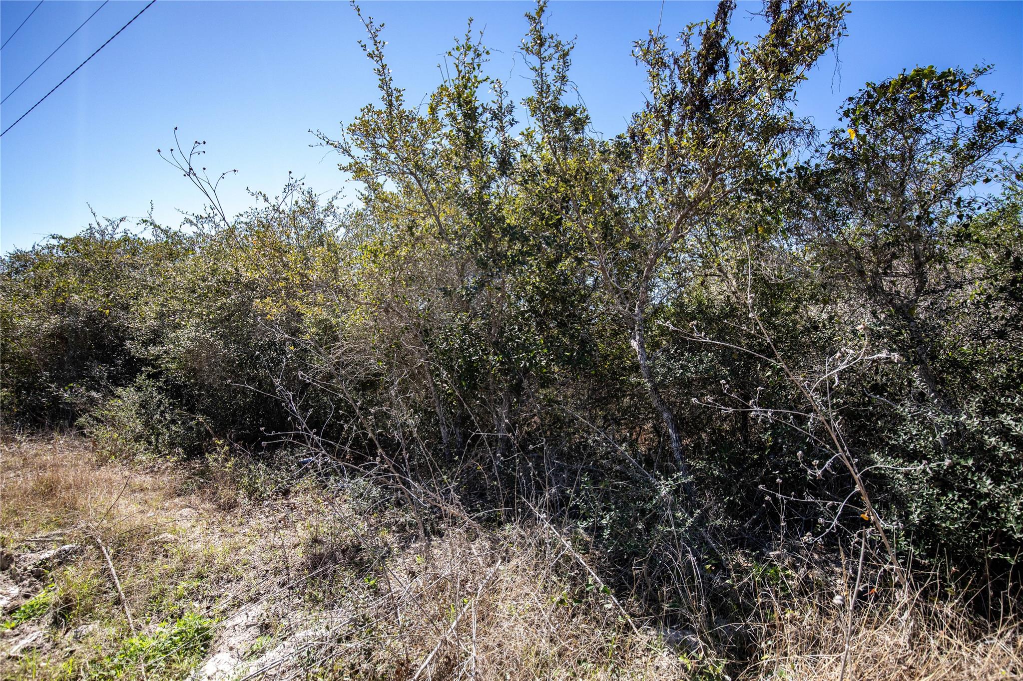Blk A Trail 13 Rhodes Avenue Aransas Pass TX 78368
