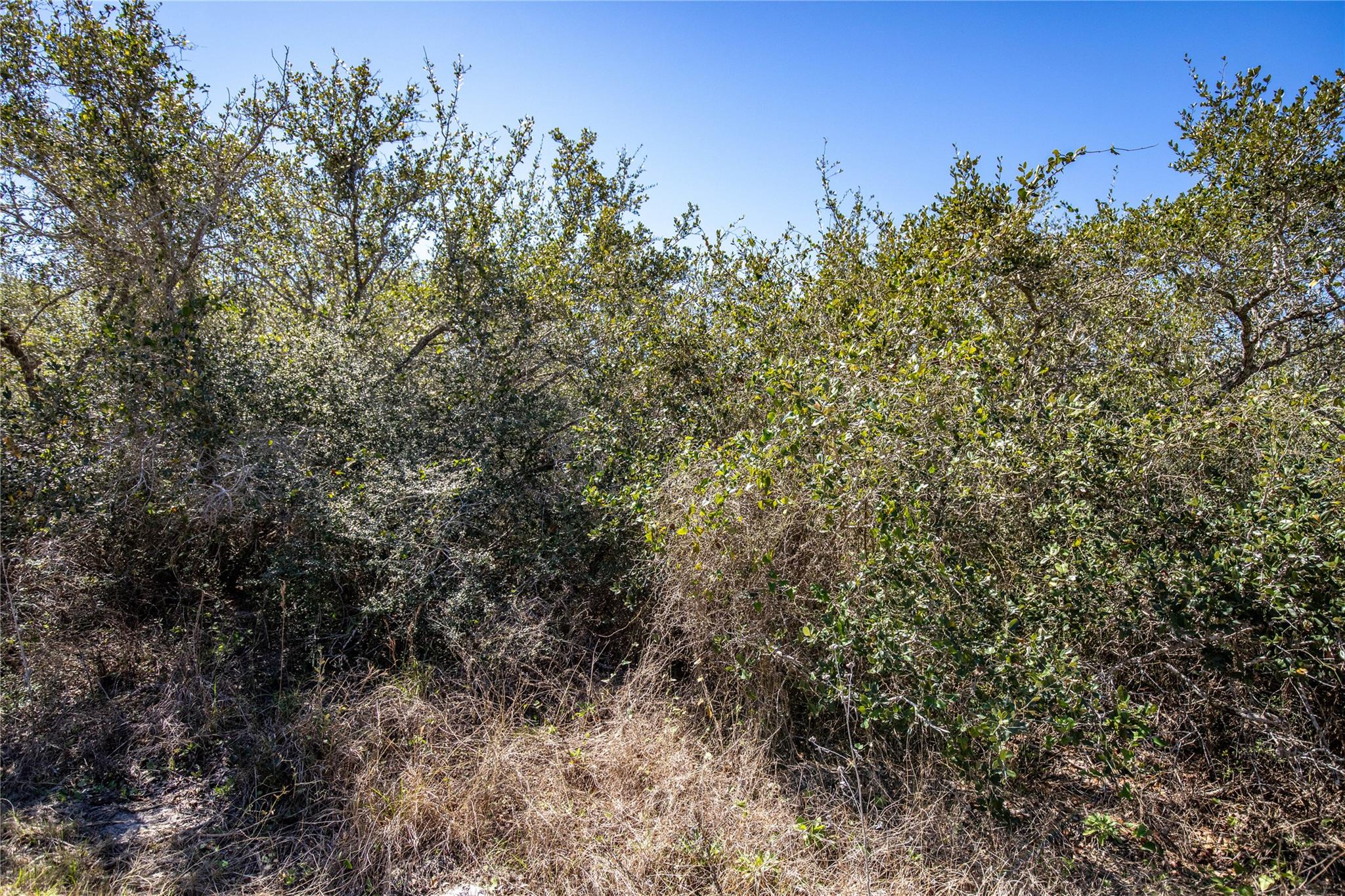 Blk A Trail 13 Rhodes Avenue Aransas Pass TX 78368