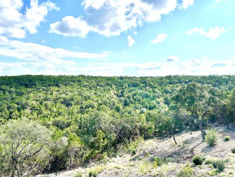 256 Clinch Drive Fischer TX 78623