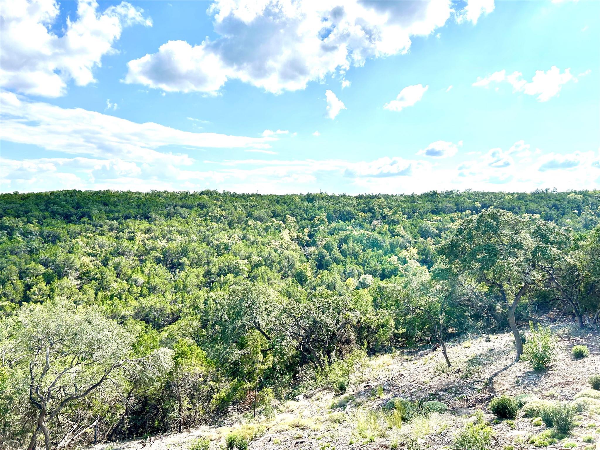 256 Clinch Drive Fischer TX 78623