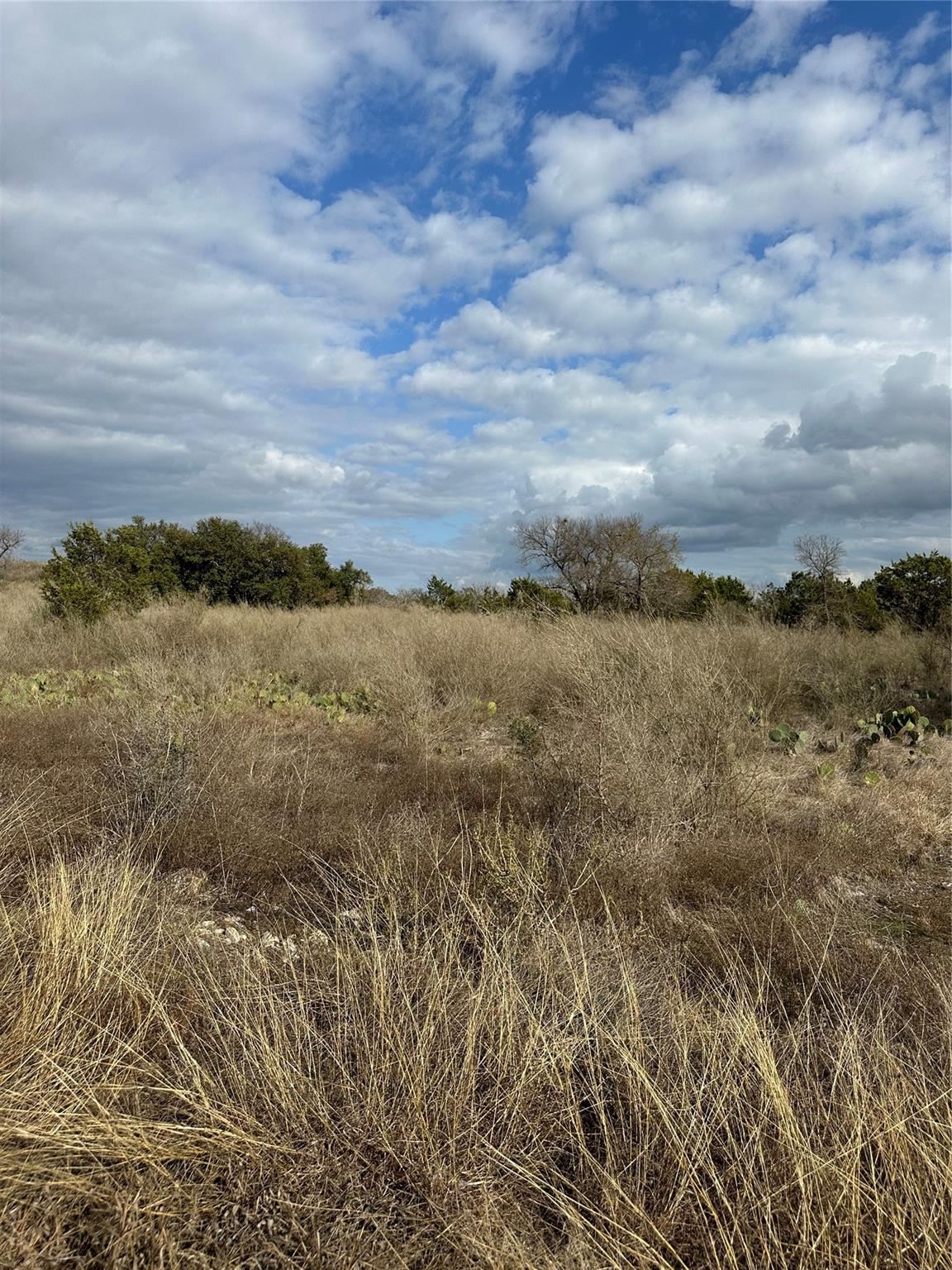 409 Spicewood Trails Drive Spicewood TX 78669