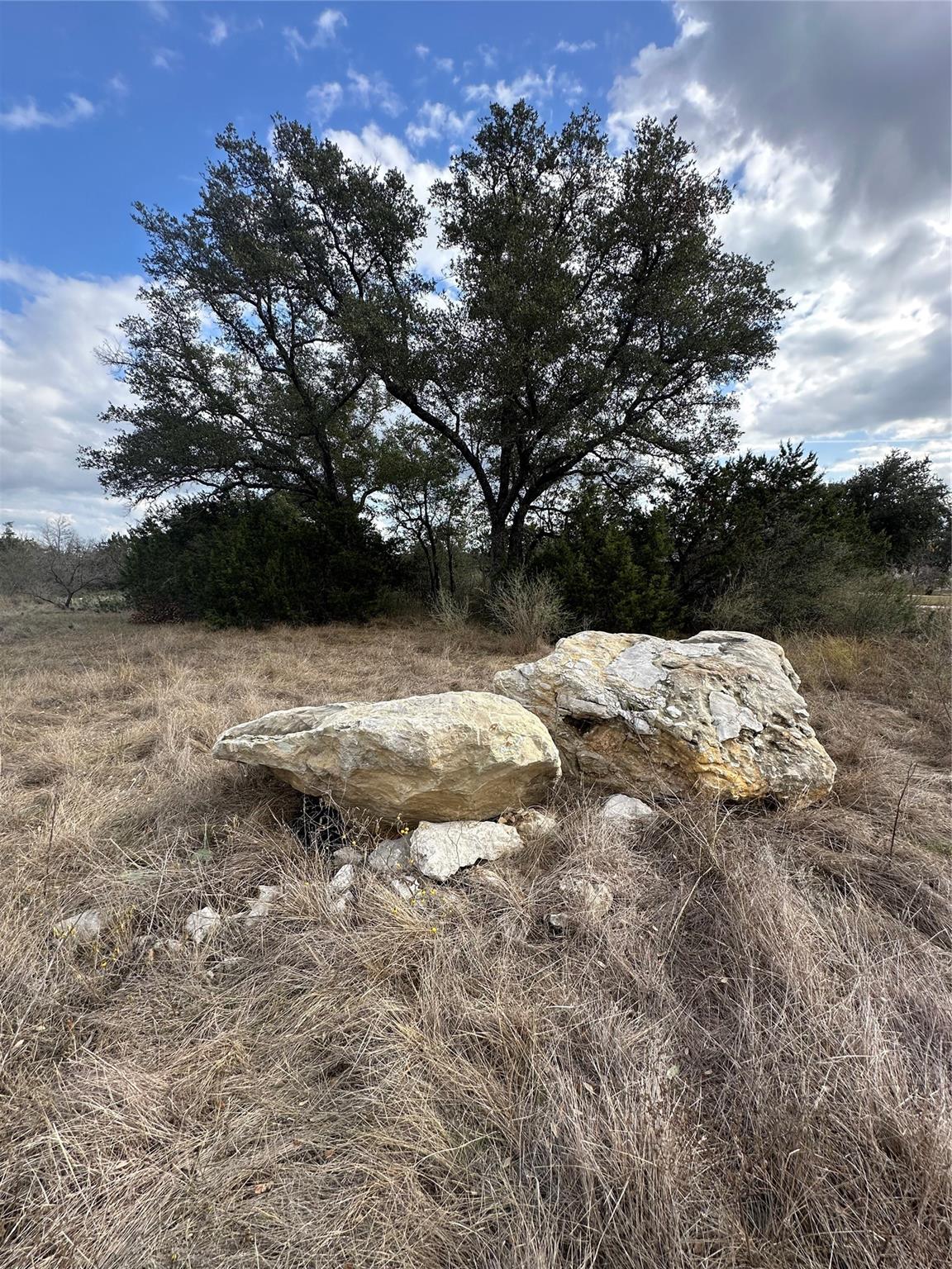 409 Spicewood Trails Drive Spicewood TX 78669