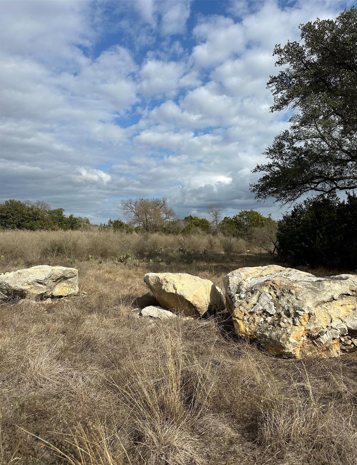 409 Spicewood Trails Drive Spicewood TX 78669