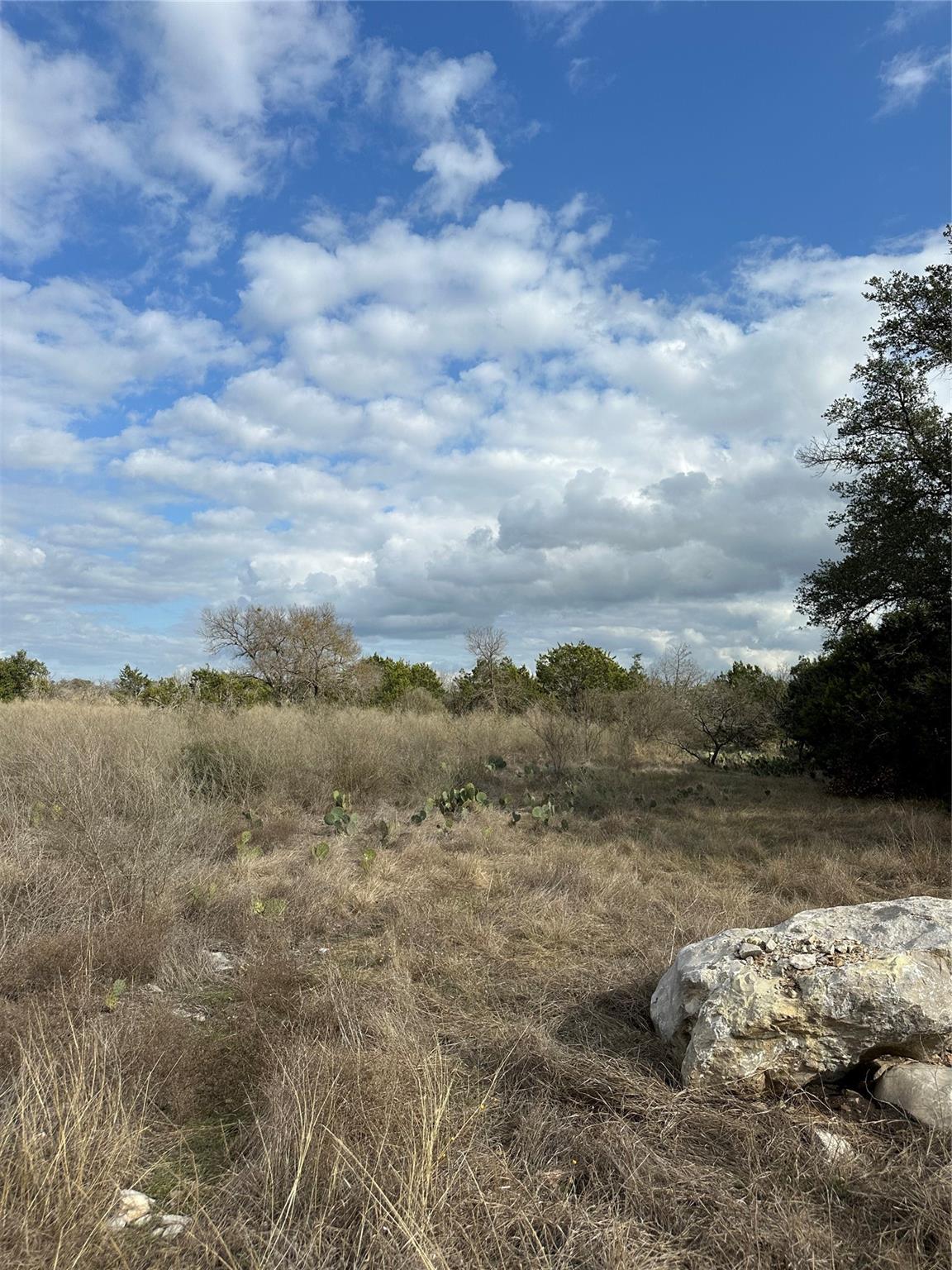 409 Spicewood Trails Drive Spicewood TX 78669