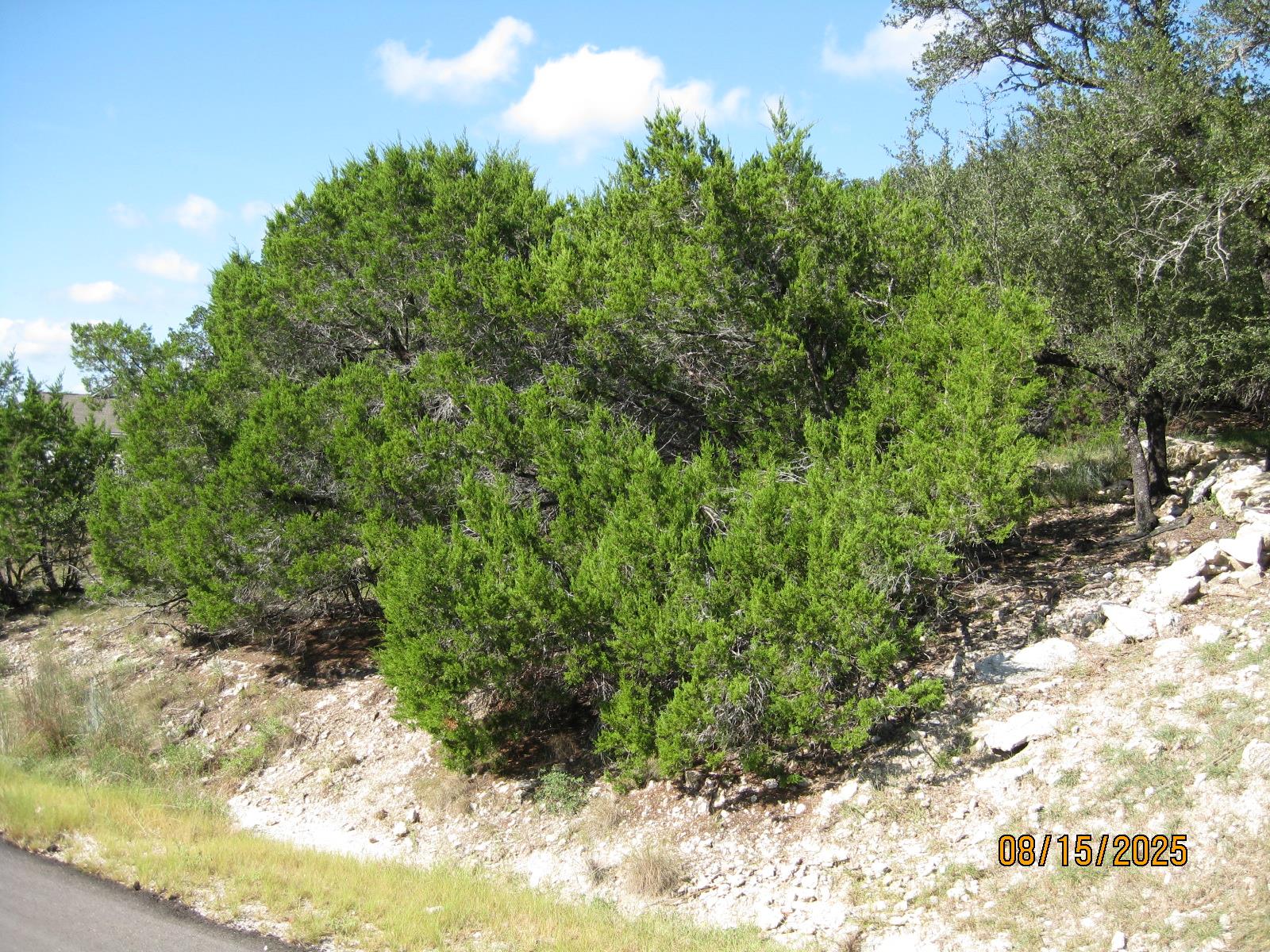 2604 Nevada Cove Lago Vista TX 78645