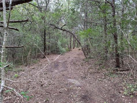 Tbd Lot 1 Zapalac Road Smithville TX 78957