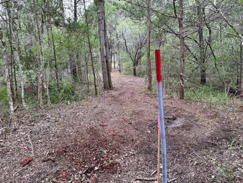 Tbd Lot 1 Zapalac Road Smithville TX 78957