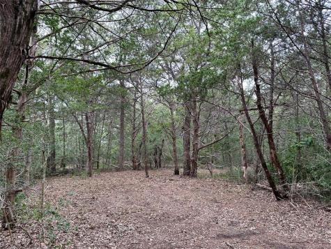 Tbd Lot 1 Zapalac Road Smithville TX 78957