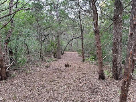 Tbd Lot 1 Zapalac Road Smithville TX 78957