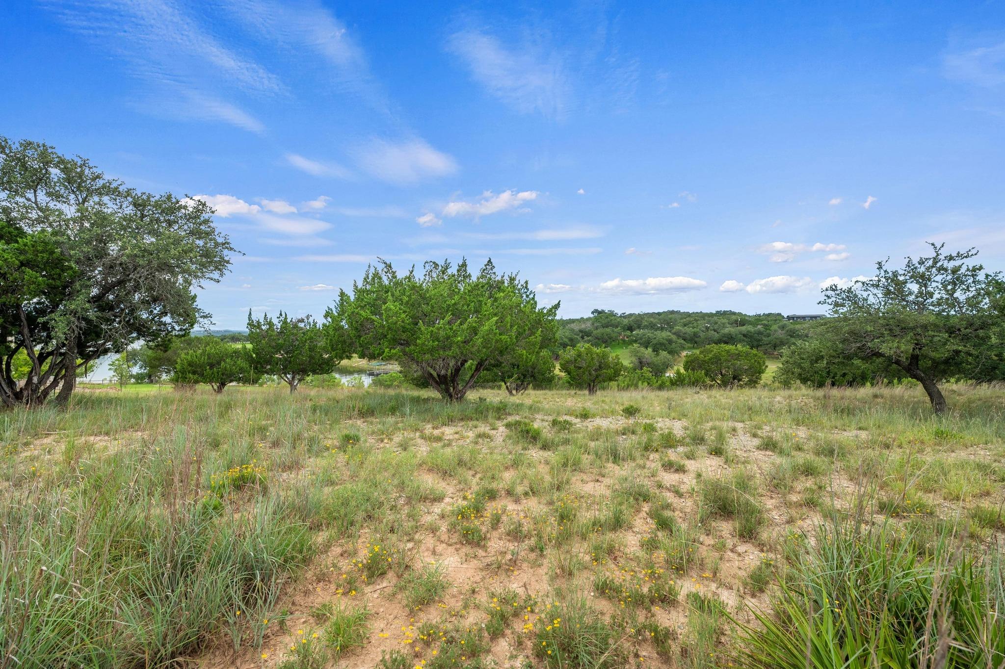 1901 Valentino Cove Spicewood TX 78669