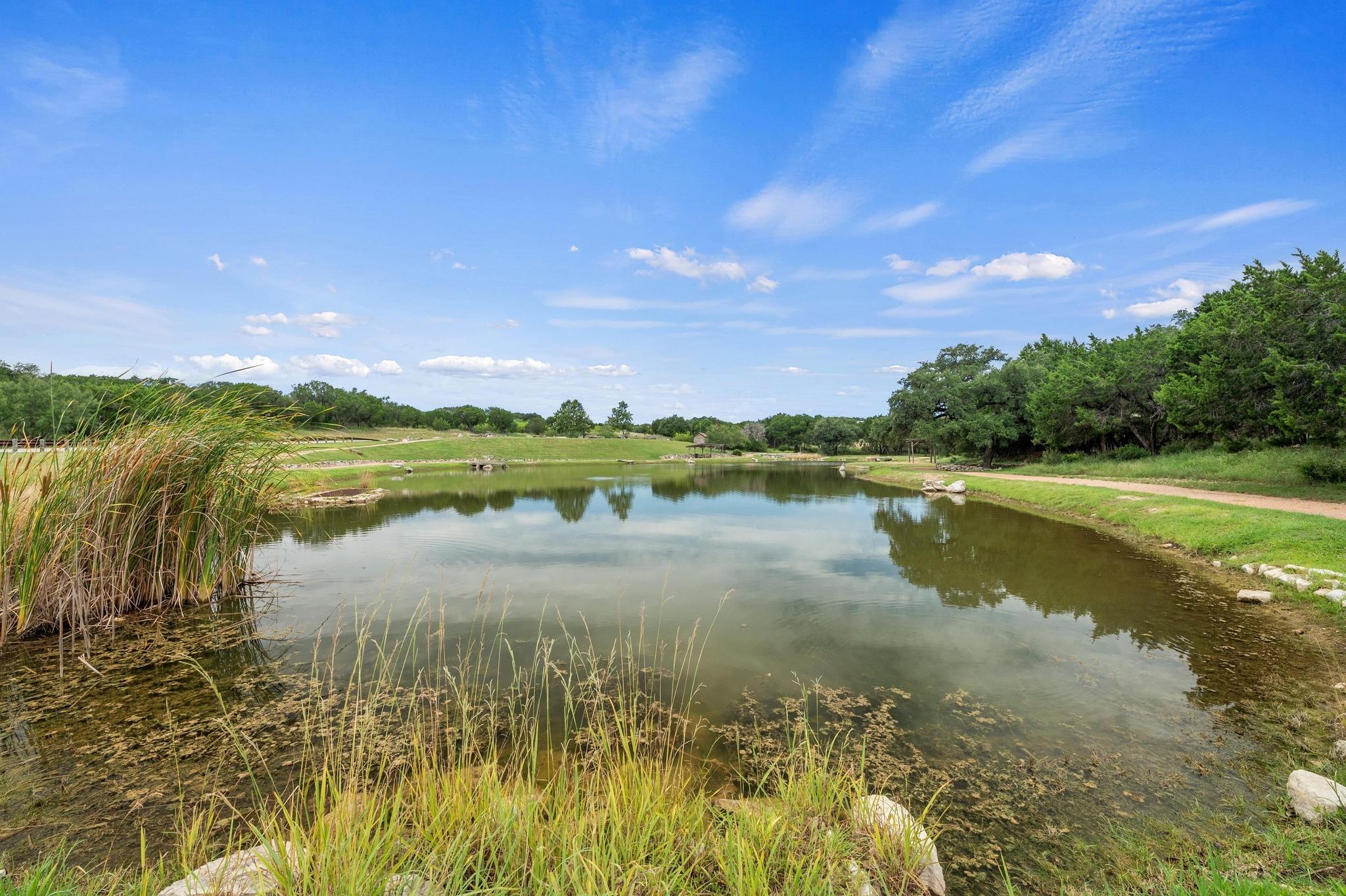 1901 Valentino Cove Spicewood TX 78669