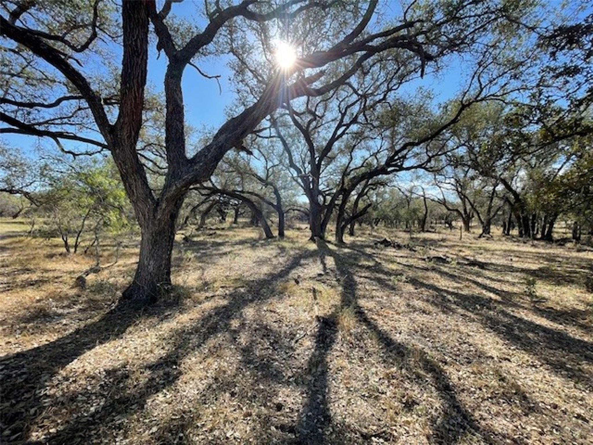 1384 County Road 326 Adkins TX 78101