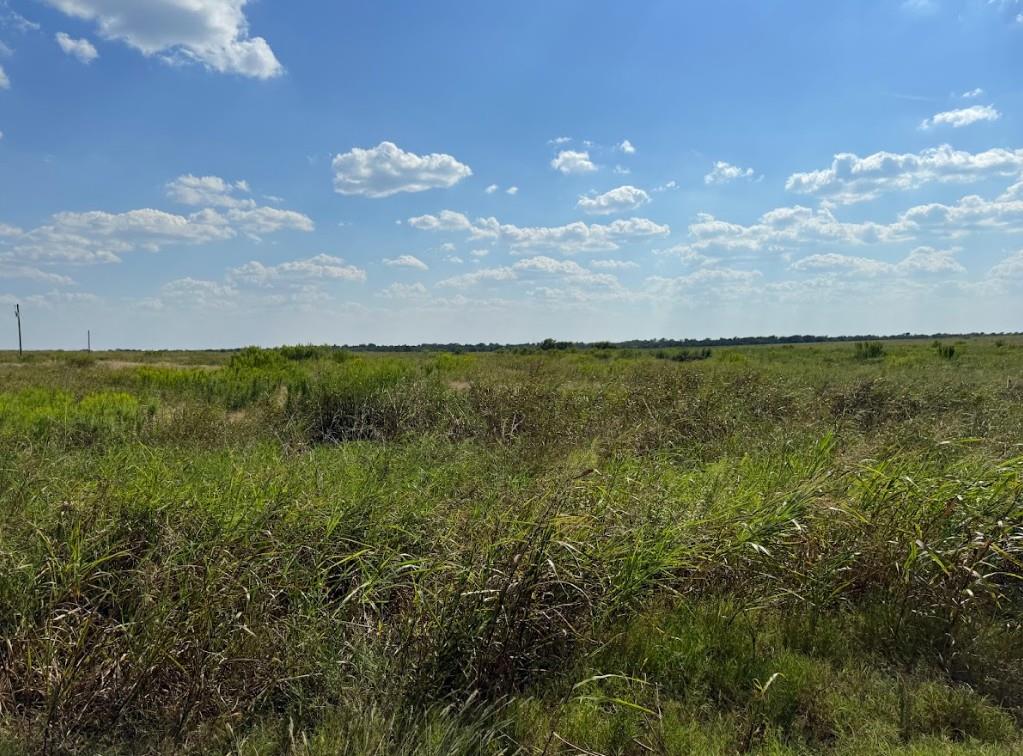 Tbd Fm 485 Buckholts TX 76518