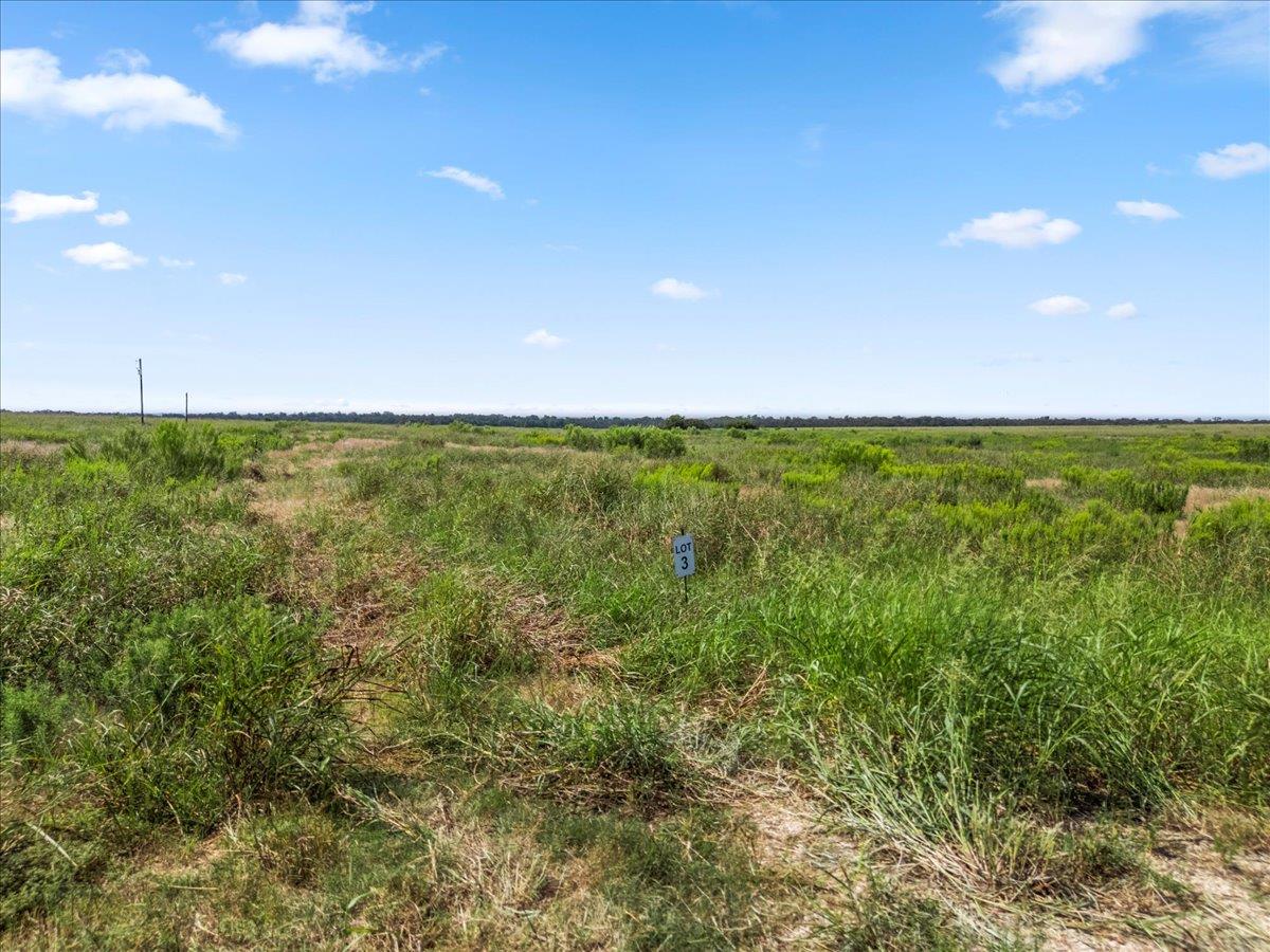 Tbd Fm 485 Buckholts TX 76518