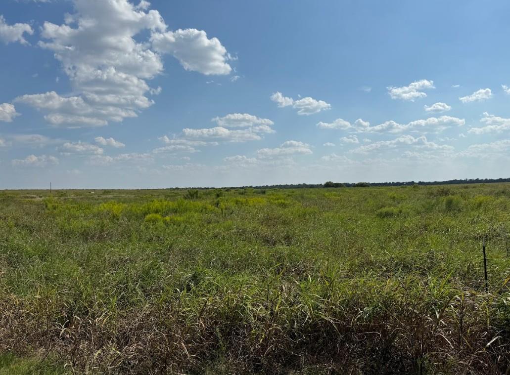 Tbd Fm 485 Buckholts TX 76518