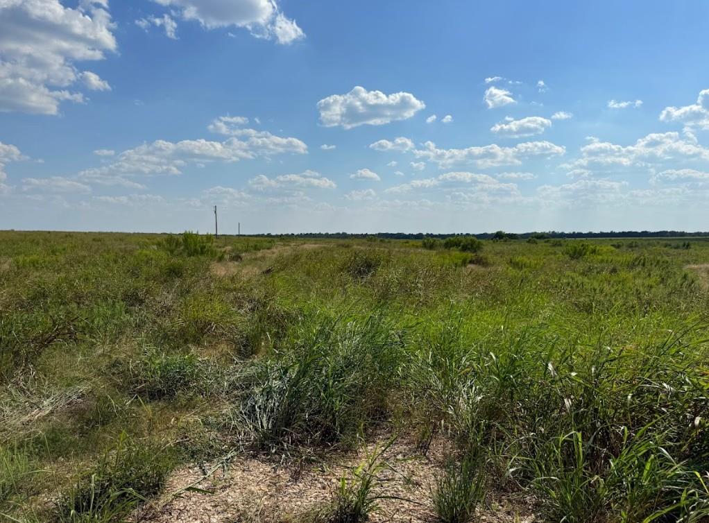 Tbd Fm 485 Buckholts TX 76518