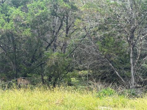 000 Tbd Drive Canyon Lake TX 78133