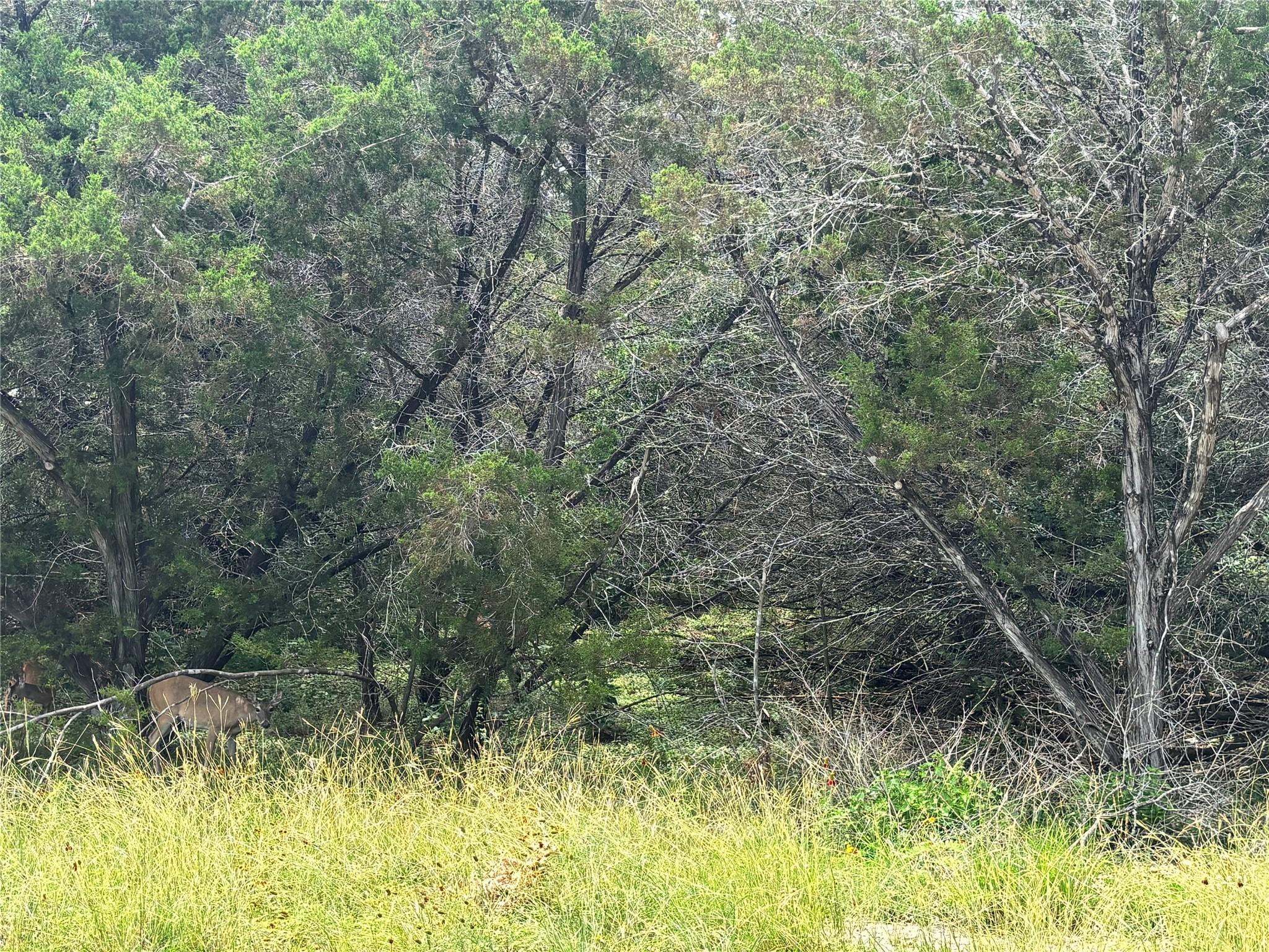 000 Tbd Drive Canyon Lake TX 78133