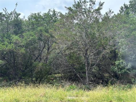 000 Tbd Drive Canyon Lake TX 78133