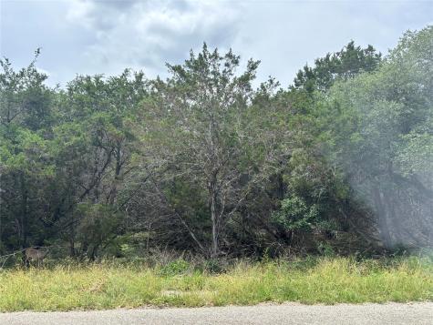 000 Tbd Drive Canyon Lake TX 78133