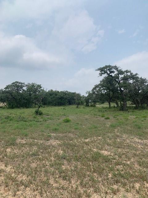 2993 Pump Station Road Wimberley TX 78676