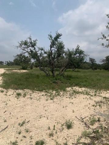 2993 Pump Station Road Wimberley TX 78676