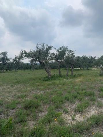2993 Pump Station Road Wimberley TX 78676
