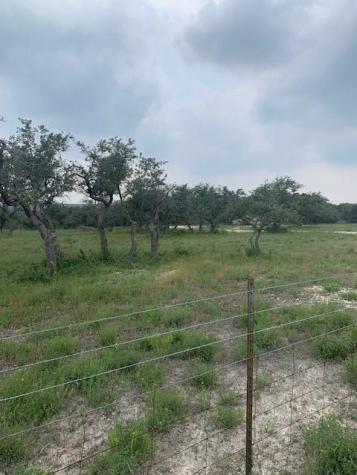 2993 Pump Station Road Wimberley TX 78676