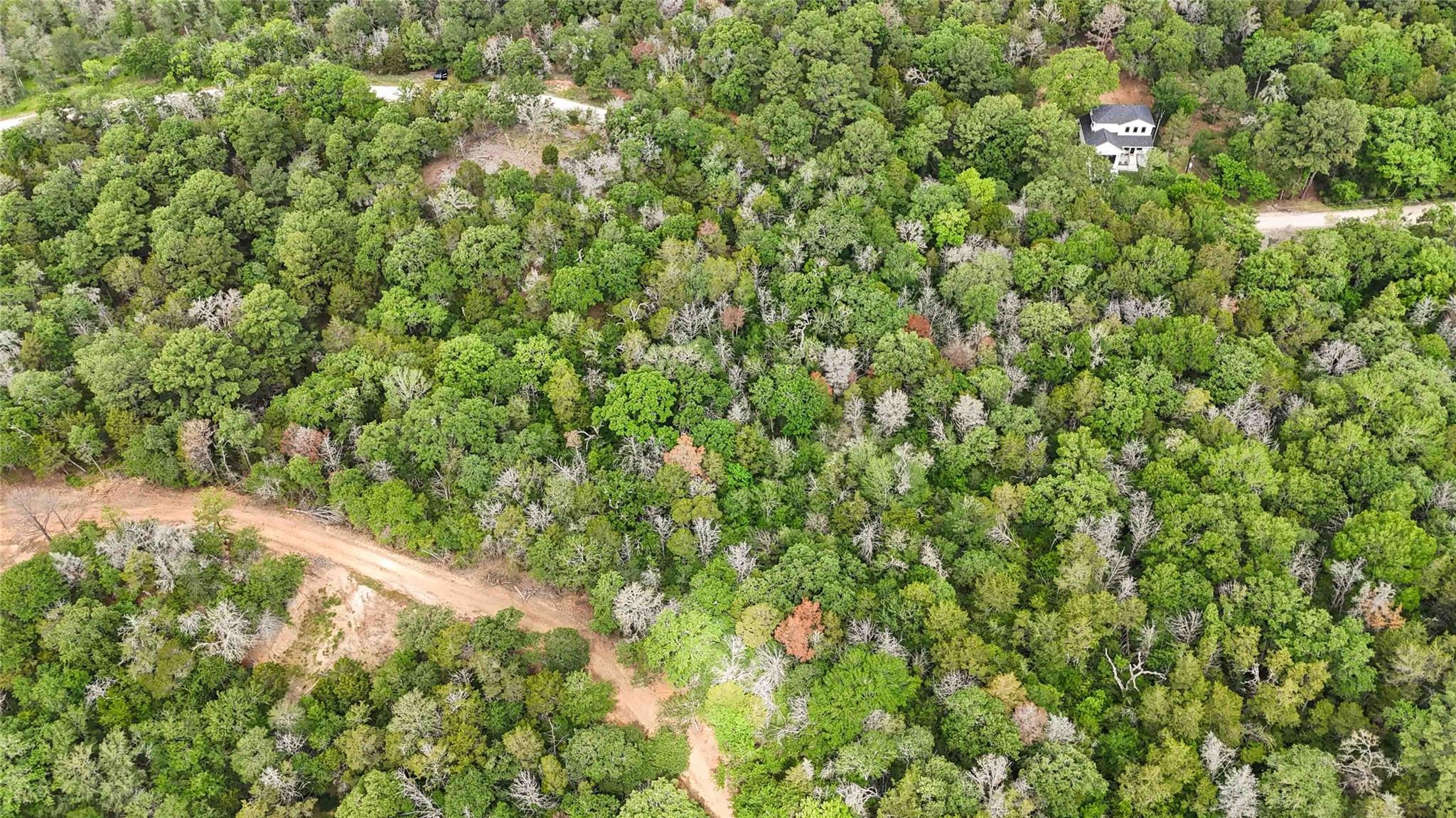 131 Helemano Drive Bastrop TX 78602