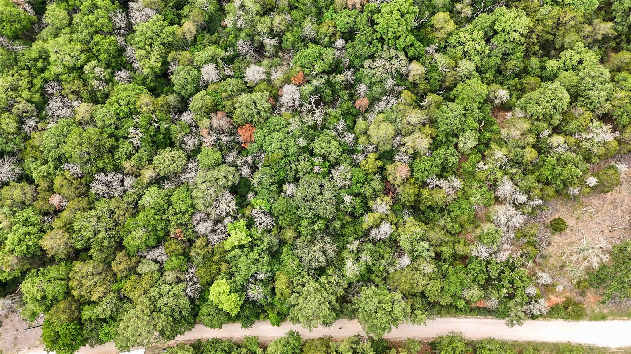131 Helemano Drive Bastrop TX 78602
