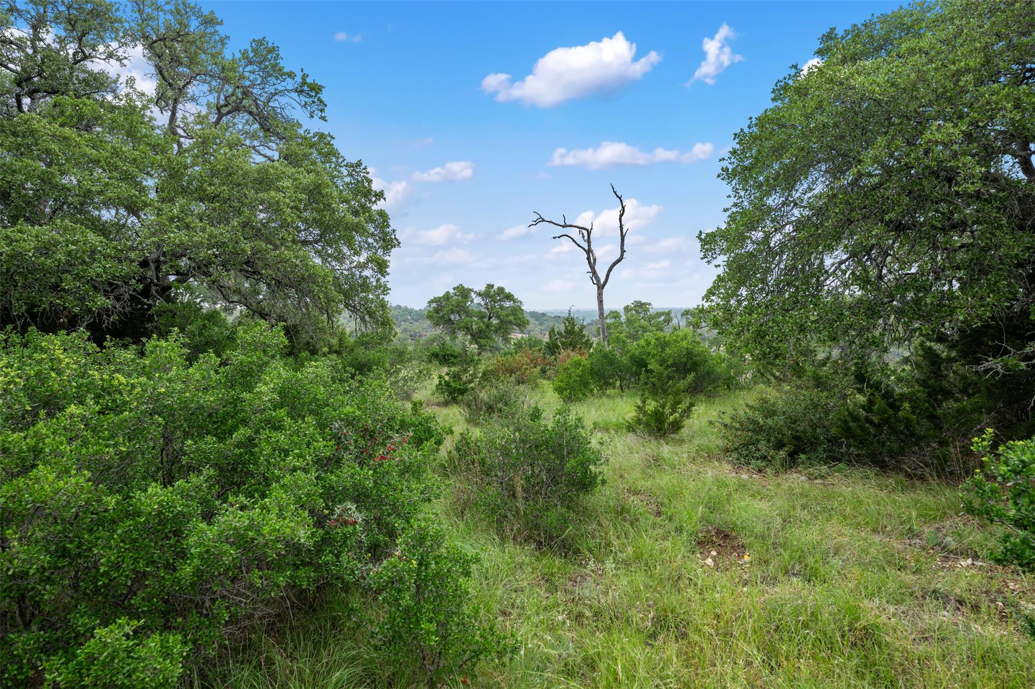 155 SW Crosswater Lane Dripping Springs TX 78620