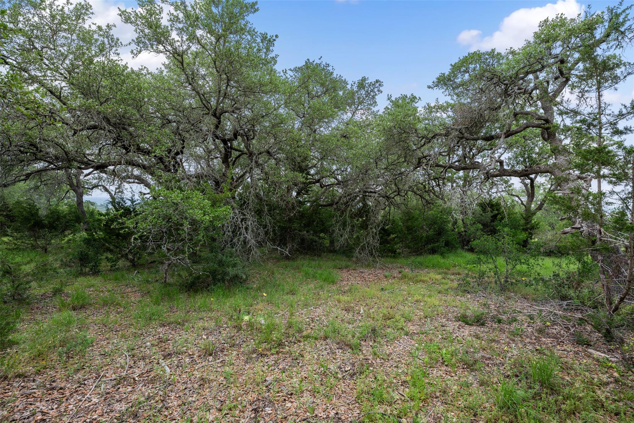 155 SW Crosswater Lane Dripping Springs TX 78620