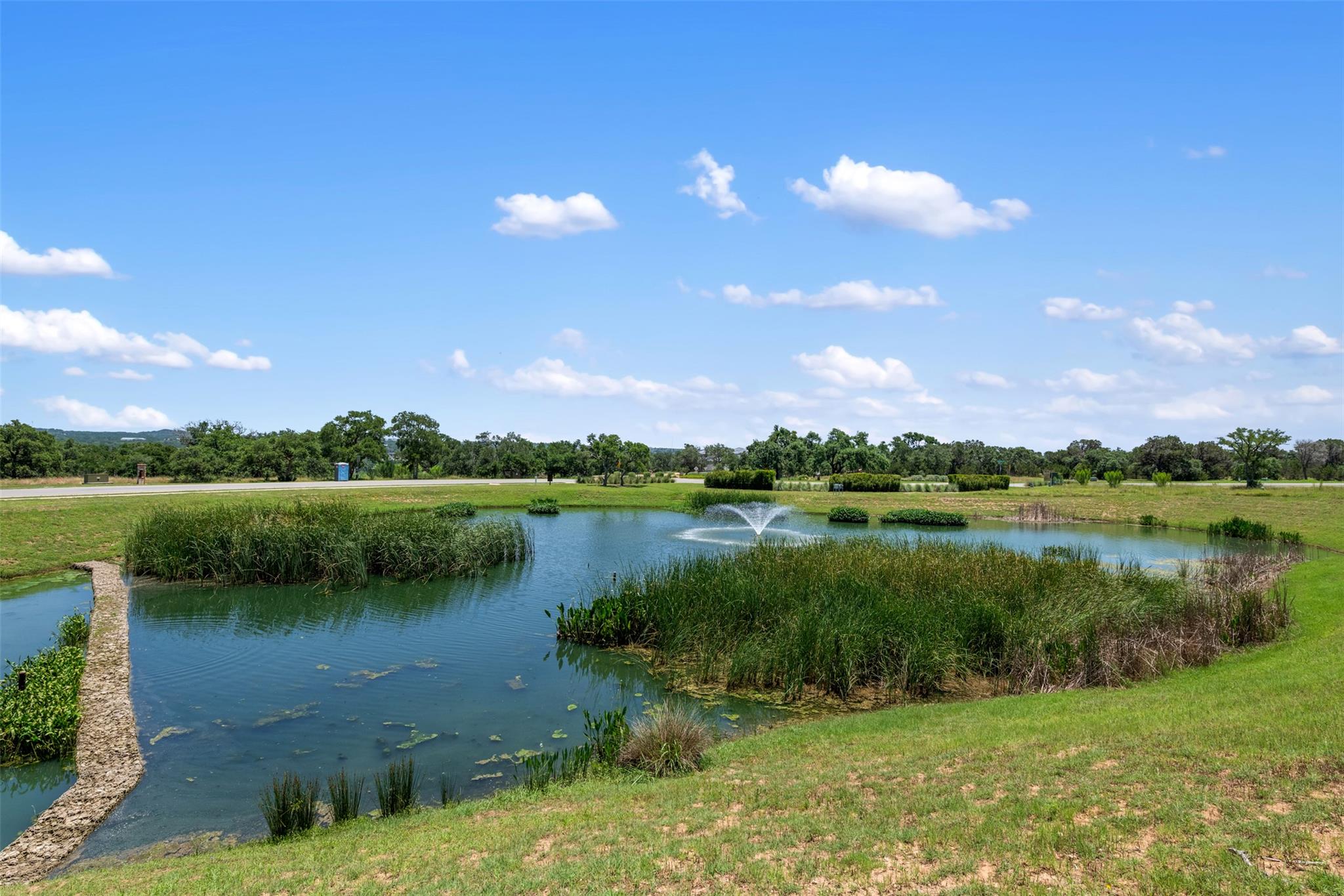 155 SW Crosswater Lane Dripping Springs TX 78620