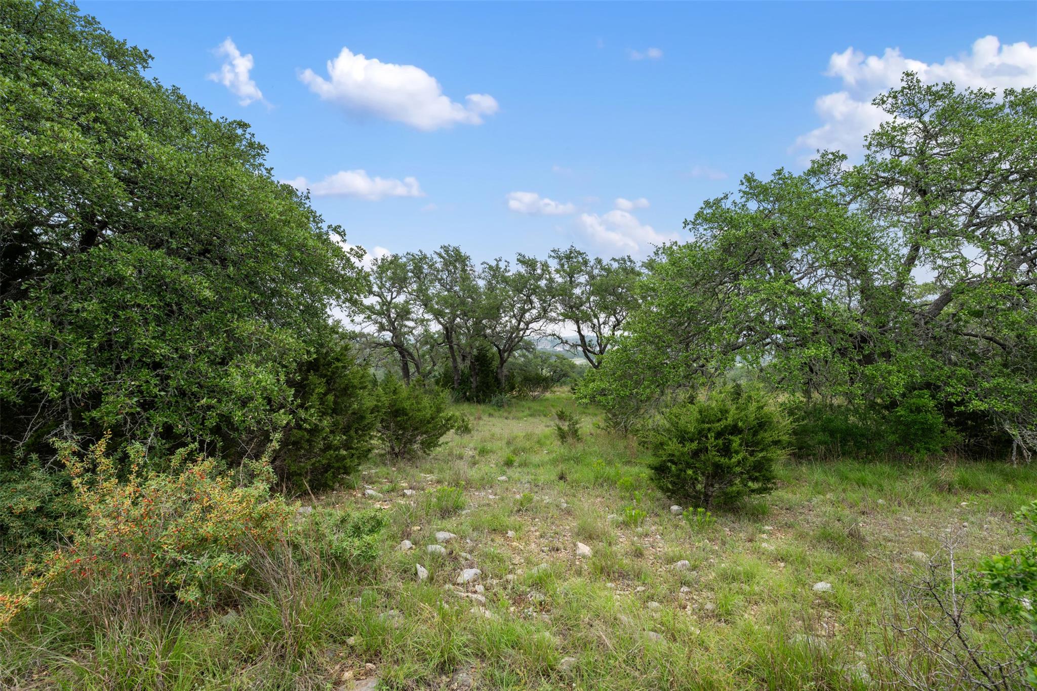 155 SW Crosswater Lane Dripping Springs TX 78620