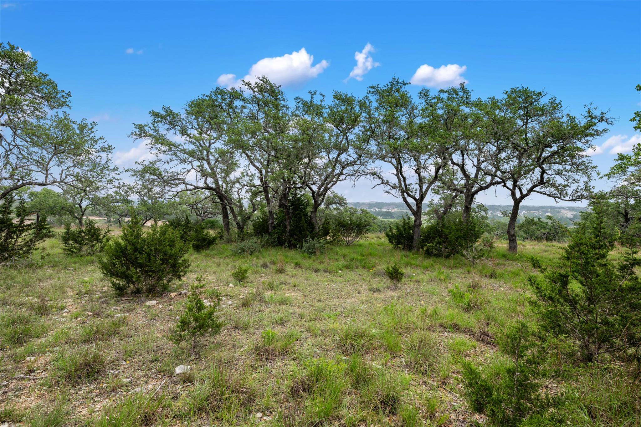 155 SW Crosswater Lane Dripping Springs TX 78620