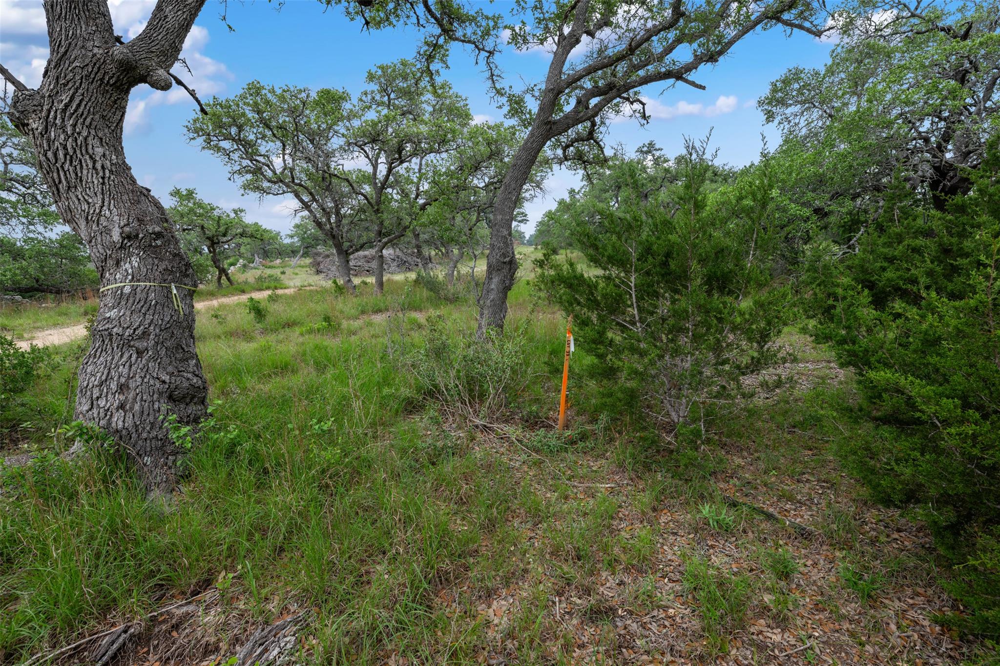 155 SW Crosswater Lane Dripping Springs TX 78620