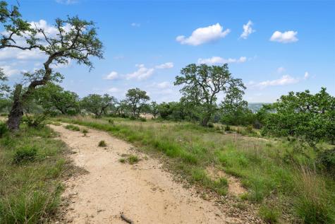 155 SW Crosswater Lane Dripping Springs TX 78620