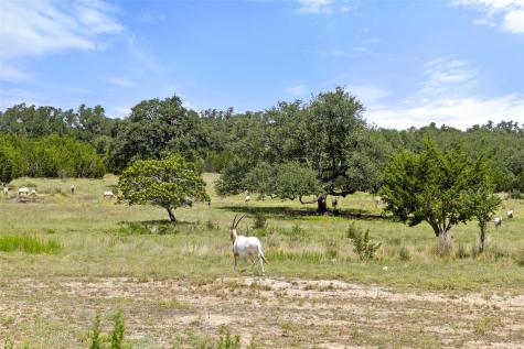Lot 162 Legacy Hills Johnson City TX 78636