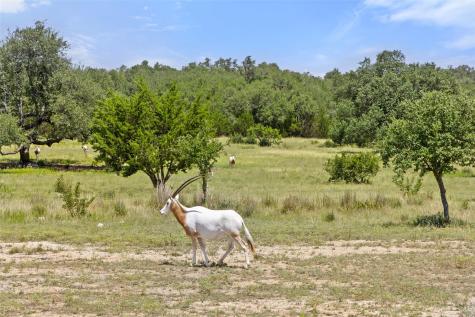 Lot 162 Legacy Hills Johnson City TX 78636