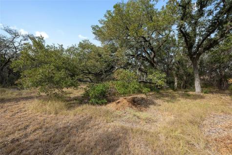 200 Ted Burger Road Dripping Springs TX 78620