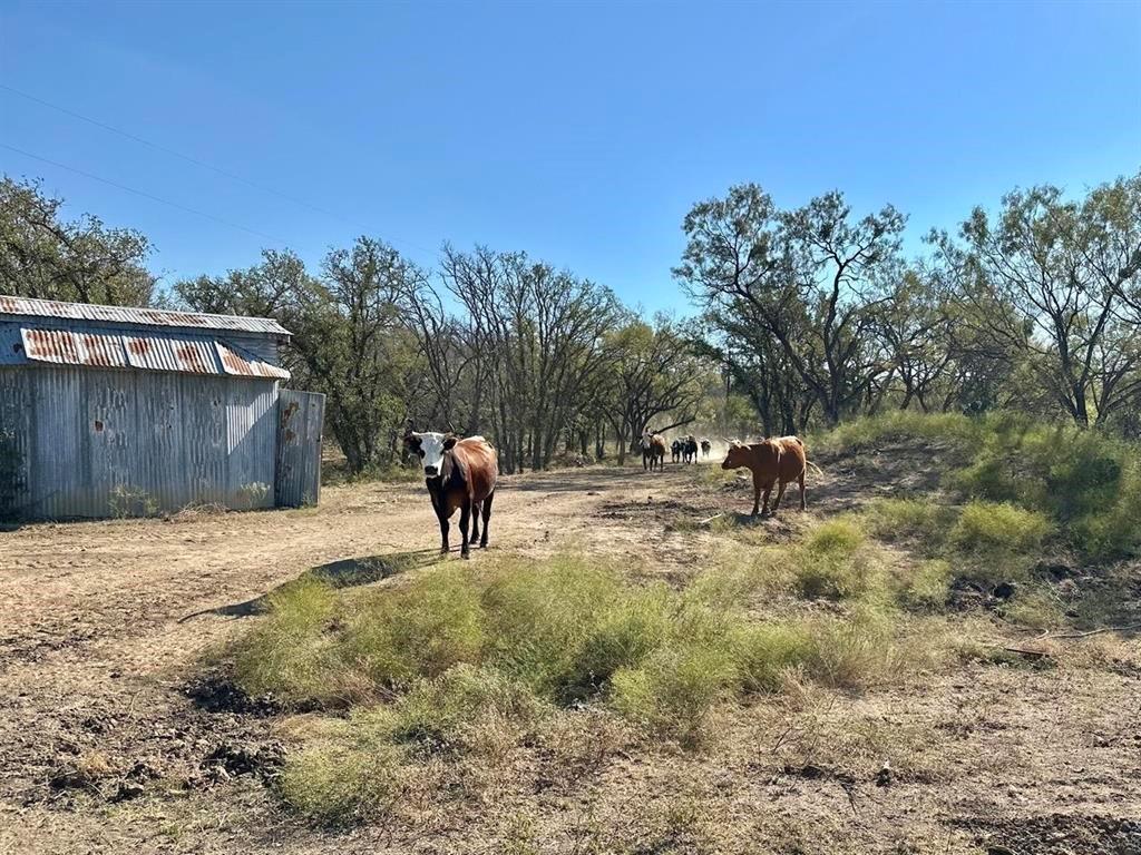 261 County Road 120 Marble Falls TX 78654