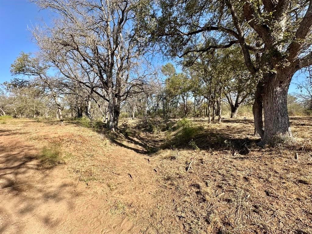 261 County Road 120 Marble Falls TX 78654