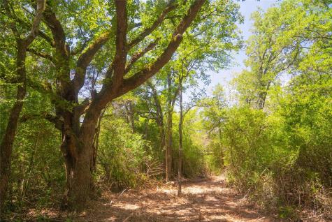 12582 Red Hill Road Hearne TX 77859